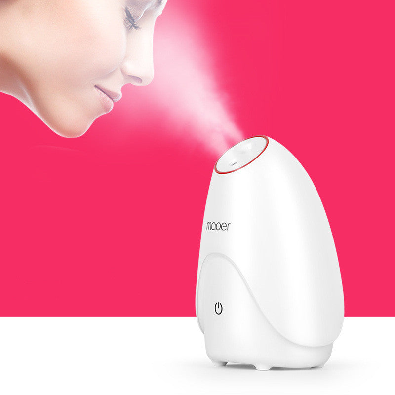 Home Beauty Instrument With Hot And Cold Steaming Face Device